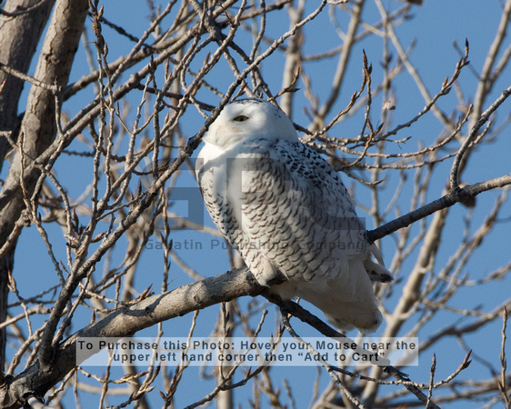 What Fast Food Restaurants Are Open On Christmas Day Pictures Wallpapers